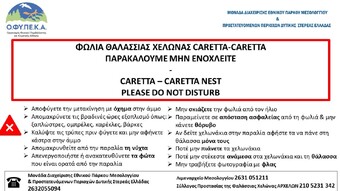 ΜΕΣΟΛΟΓΓΙ: ΝΕΟΣΣΟΙ ΘΑΛΑΣΣΙΑΣ ΧΕΛΩΝΑΣ ΚΑΡΕΤΑ-ΚΑΡΕΤΑ ΚΑΤΑΓΡΑΦΗΚΑΝ ΓΙΑ ΠΡΩΤΗ ΦΟΡΑ ΣΤΗΝ ΤΟΥΡΛΙΔΑ