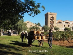 ΔΕΙΤΕ ΦΩΤΟ: ΑΝΟΙΧΤΟΣ ΤΡΥΓΟΣ ΣΤΗΝ ACHAIA CLAUSS